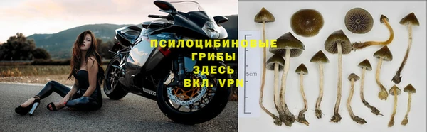 ALPHA PVP Абинск