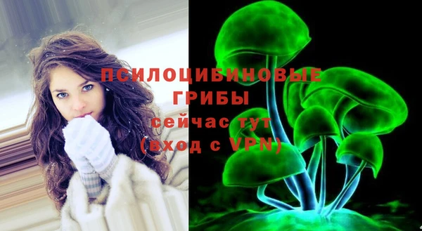 дурь Алексеевка