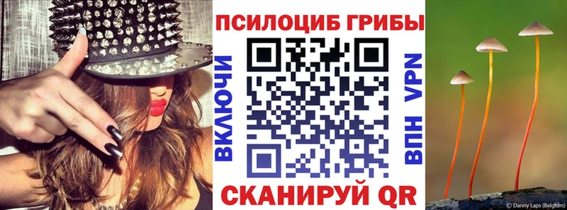 mega как зайти  Чухлома  Псилоцибиновые грибы GOLDEN TEACHER 